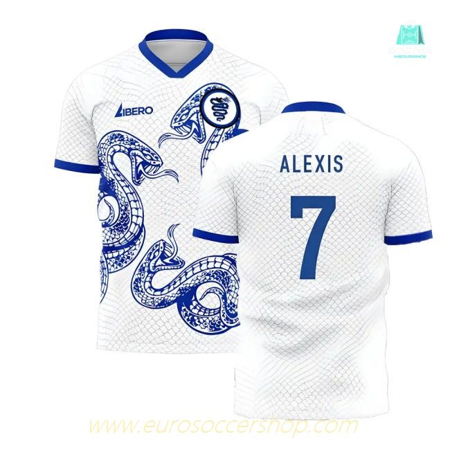Inter 2025-2026 Away Concept Football Kit (Libero) (Alexis 7)