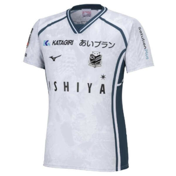 Hokkaido Consadole Sapporo 202425 Third Soccer Shirt - Official