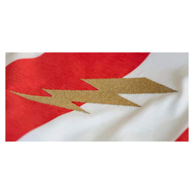 Top Quality E. Cavani #21 Official Merchandise Licensed Product (v3)