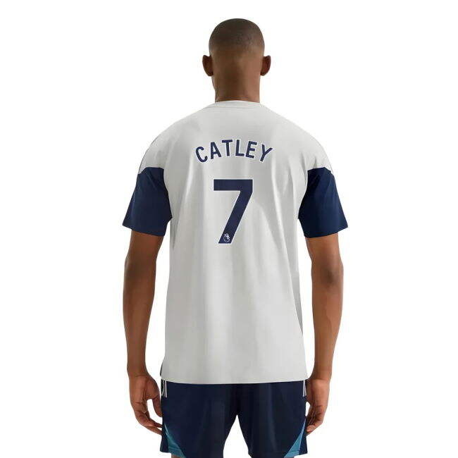 Adult 2025-2026 Arsenal Training Tee (Grey) (Catley 7)