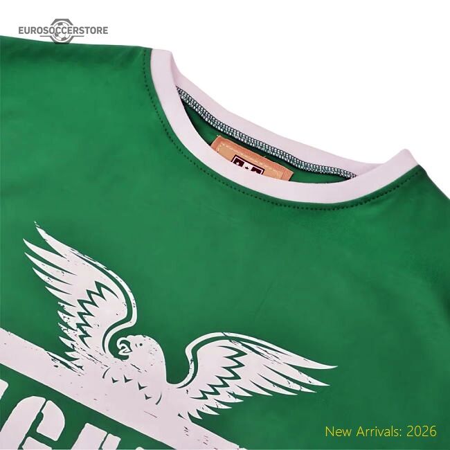 Super Eagles T-shirt - Greenwhite Ringer - Economical - Fan Collection