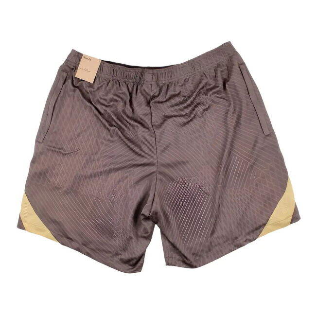 Shorts for Tottenham Strike Training 2023-2024 (Unisex