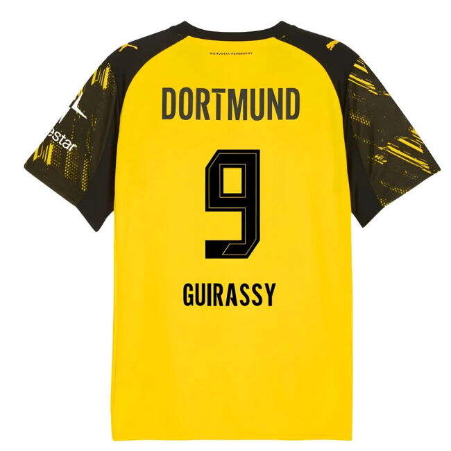 High Quality Borussia Dortmund 2025-2026 Home Strip (1)