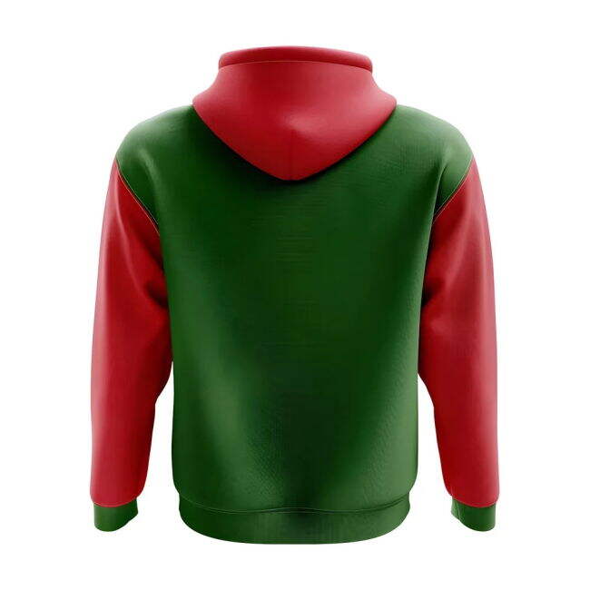 Abkhazia Concept Country Football Hoody (Green)