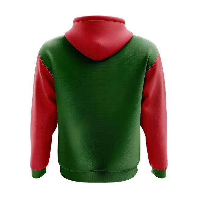 Abkhazia Concept Country Football Hoody (Green)