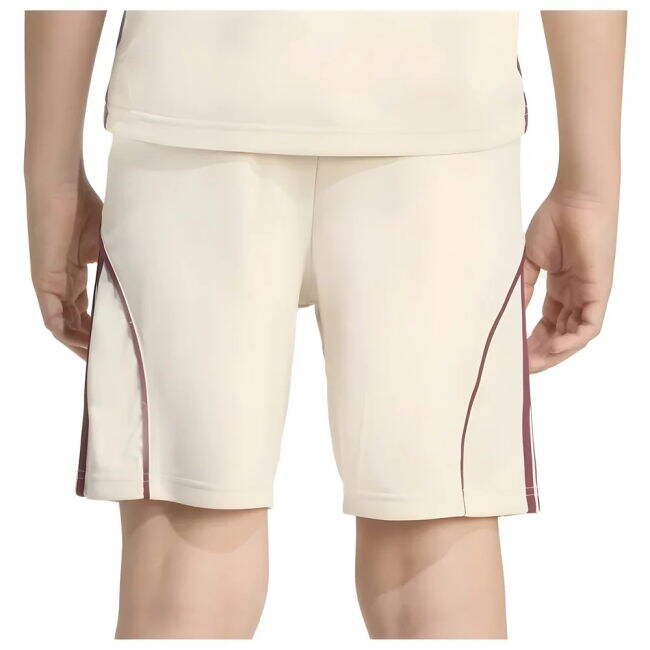 Official Ajax (ajax) Third - Team Spirit - Fan Gear - Breathable