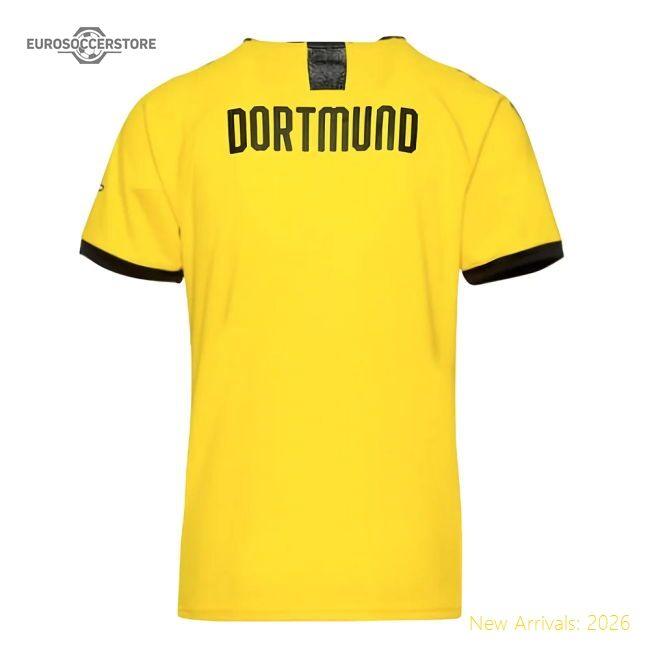 Genuine Borussia Dortmund 2019-20 Home Shirt (L) (Excellent)