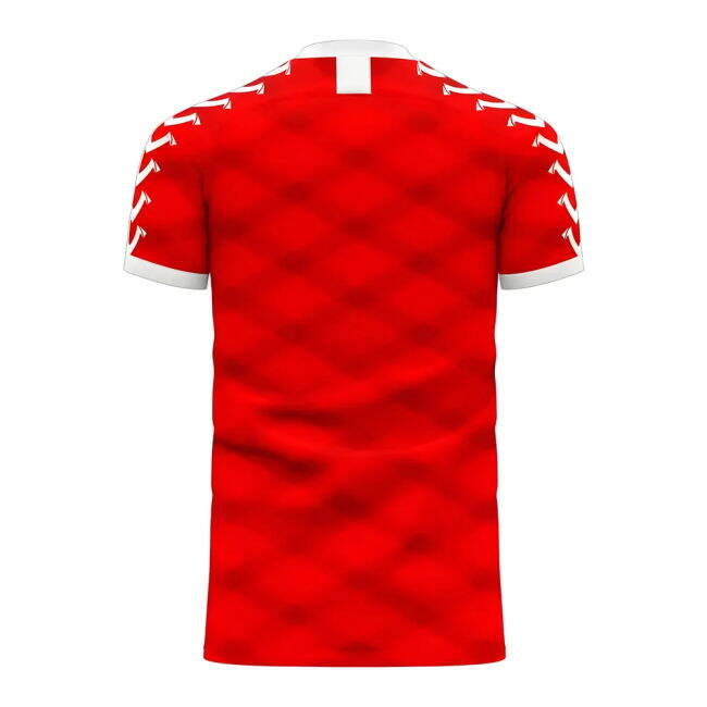 Denmark official style Home Kit 2025-2026 (Unisex