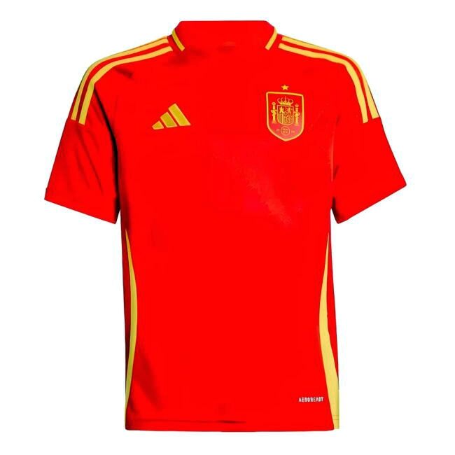 Spain Limited Edition Home Jersey 2024-2025 #17