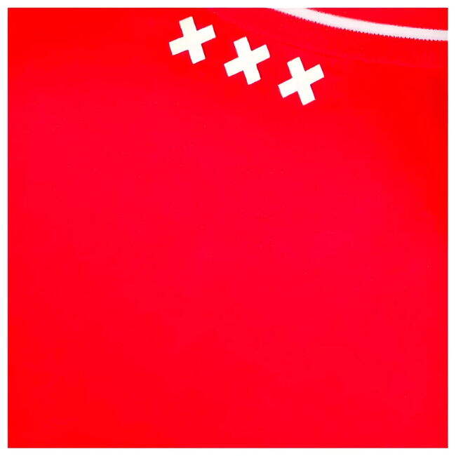 Ajax Home - Authentic Fan Edition - Feyenoord - Professional Grade