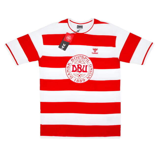 Premium 2024-2025 Denmark Fan Lightweight High Jersey Lightweight