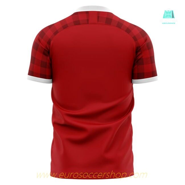 2025-26 Collection Match Quality Ligue 1 Home Jersey Concept Edition