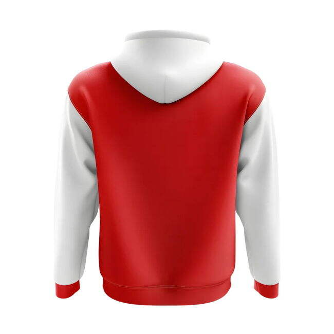 Replica Quality Denmark Concept Supporter Kit (Adults)