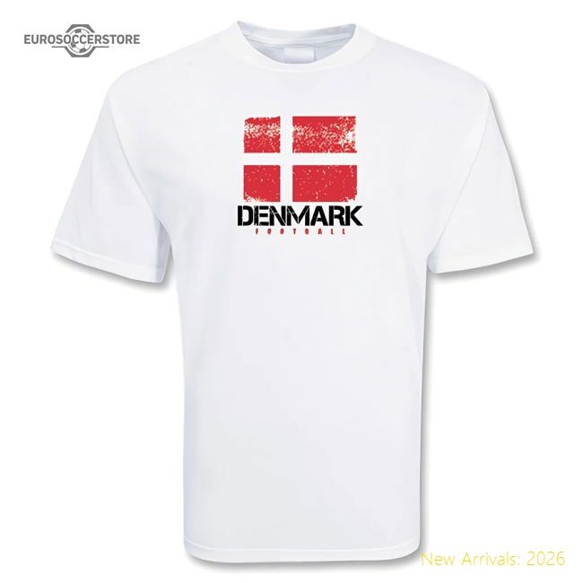 High-performance Denmark 2024-2025 Regular T-shirt (den