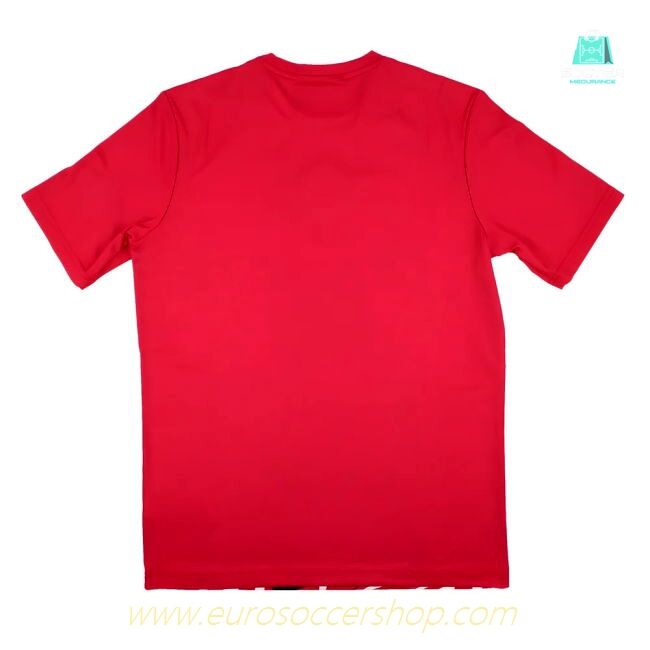 2023-2024 Lille LOSC Pre-Game Jersey (Home)