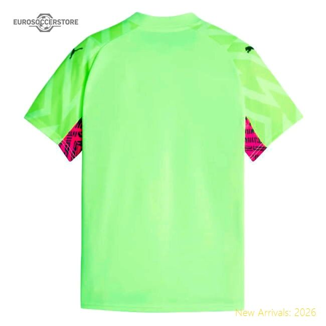 2023-2024 Premier League Team Shirt First-class Jersey Puma Drycell