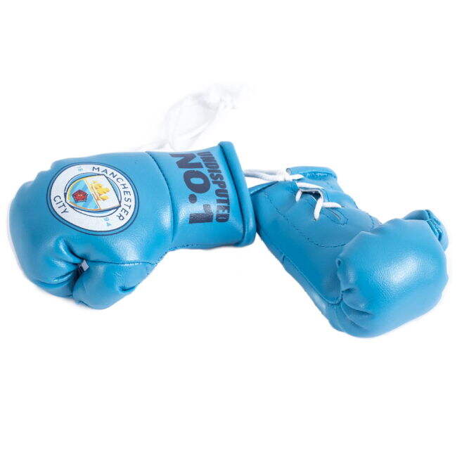 Manchester City FC Mini Boxing Gloves - official style