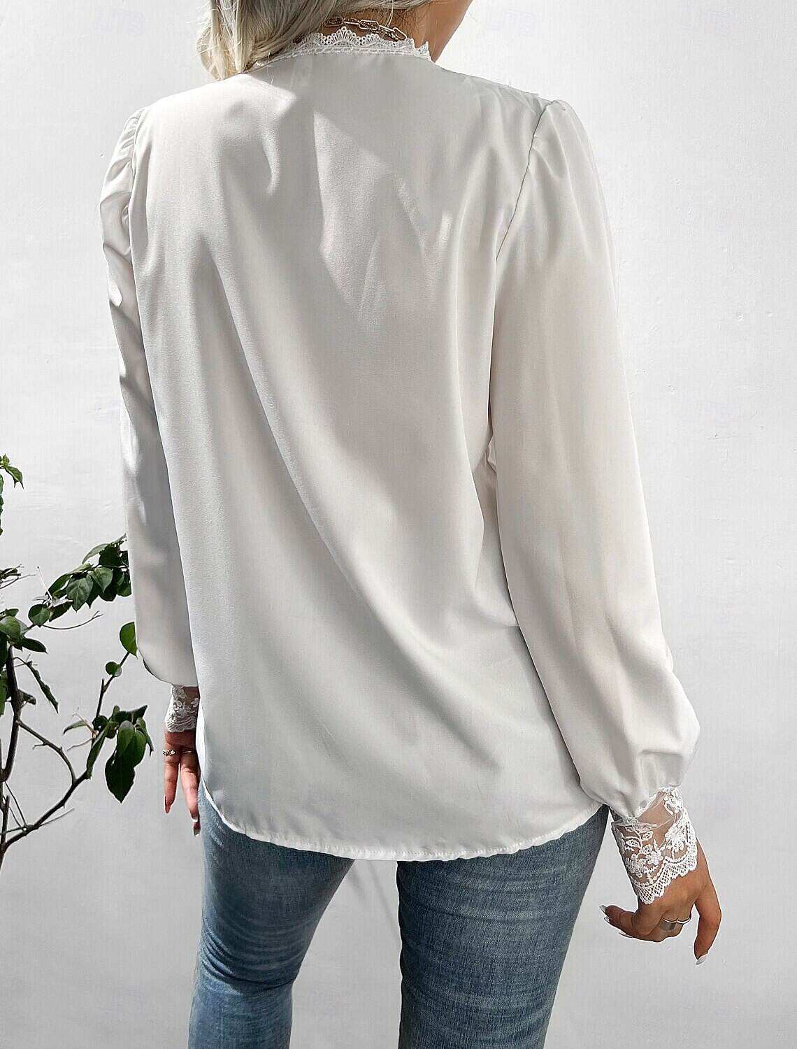 Women's Blouse Stylish Modern Lace Long Sleeve Regular Tops Crew Neck Work Daily Spring Fall