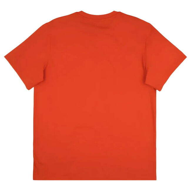 Bayern Munich Seasonal Graphic official style T-Shirt 2025-2026 (Adult