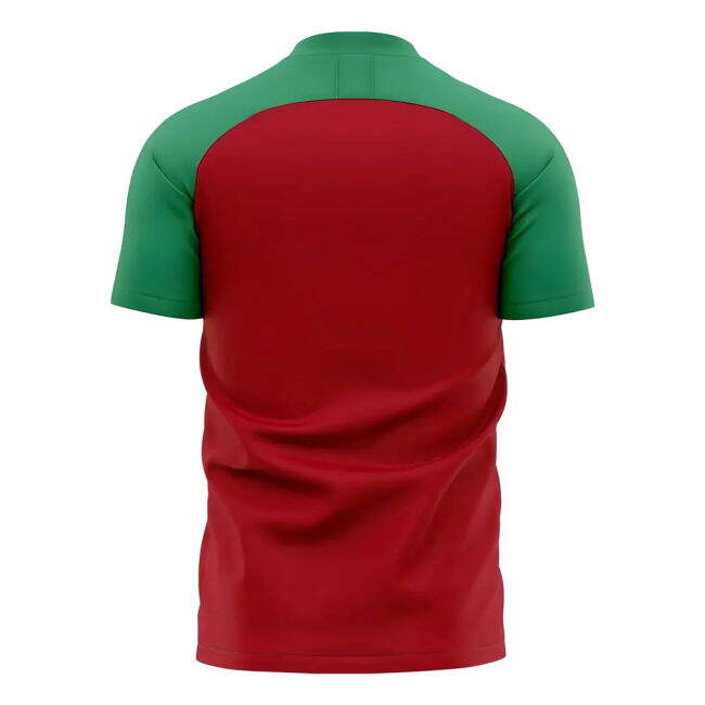 Professional Morocco 2025-2026 Home Strip (Morocco 2025)