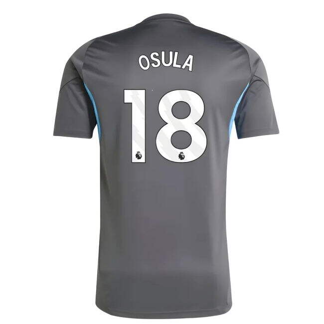 Stretchable Famous - 2025-2026 NEW Football Shirt Grey Adults #88169