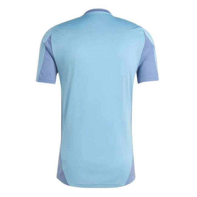 Training Kit Sosa 2 #5 Current Season Economical Official Mercha (v9)