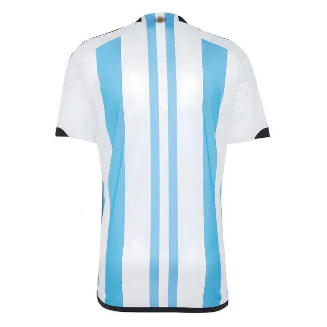Exclusive-Design Aero-Dynamic Argentina 2022 World Cup Winners Home