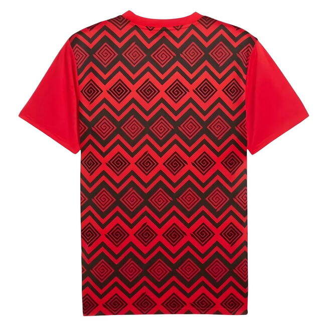 2026 Collection Performance Egypt Home Football Shirt