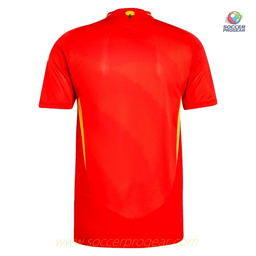 Spain Home Match Team Jersey 2024/25 Collection