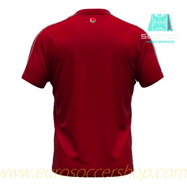 High Quality 2024-25 Edition Belarus Home Kit