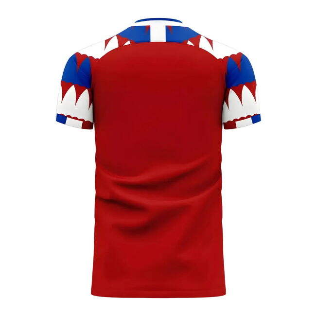 Genuine 2020-2021 Czech Republic Home Shirt