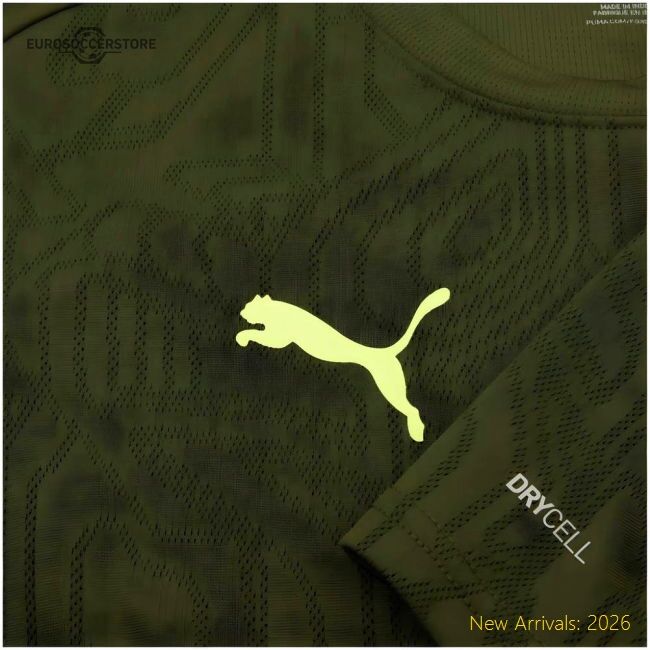 Premium 2024-2025 Borussia Dortmund Training Shirt (myrtle)