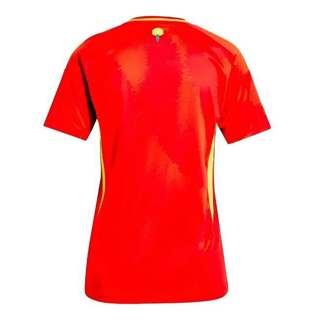 Exclusive Spain Home Special Kit 2024-2025 (1)