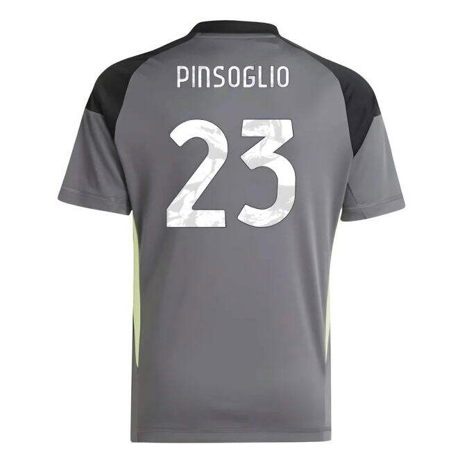 2025-2026 Juventus Home Goalkeeper Shirt (Grey) - Kids (Pinsoglio 23)