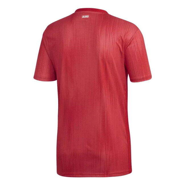 2018-2019 Camiseta Real Madrid Tercer Hombres - Auténtica