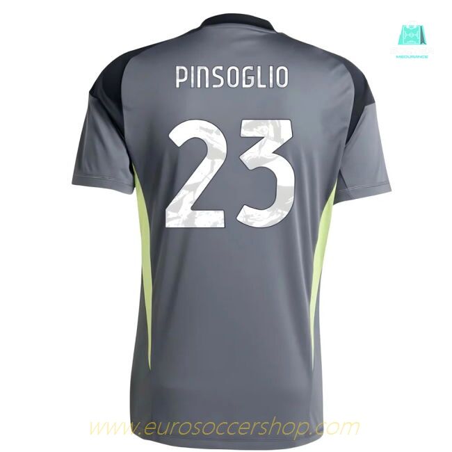 2025-2026 Juventus Home Goalkeeper Shirt (Grey) (Pinsoglio 23)