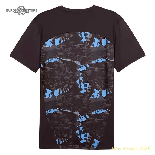 Premier League Team Home Jersey Barclays Premier Puma Drycell