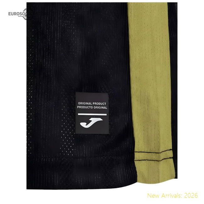 Supporter Performance 2024-2025 Hellas Verona Third Shirt