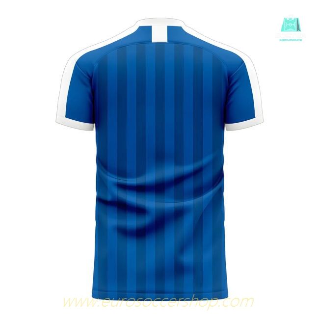 Bristol Rovers 2024-2025 Home Concept Football Kit (Libero) (Your Name)