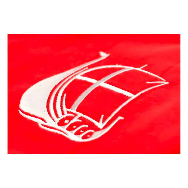 Denmark Soccer Team Supporter Kit - Adults Version