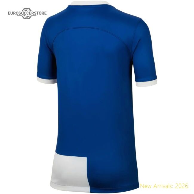 Premium Atletico Madrid Away Jersey 2023-2024 Advanced Textile