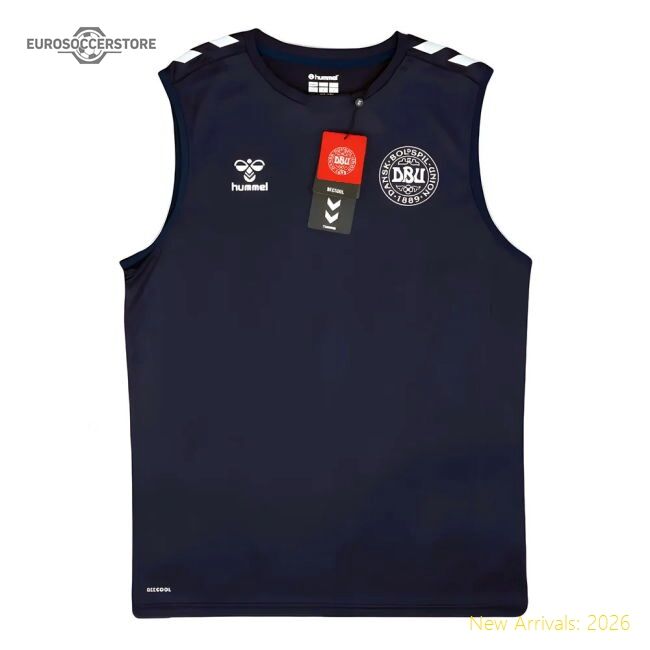 Professional Denmark 2024-2025 Official Training Shirt Modern