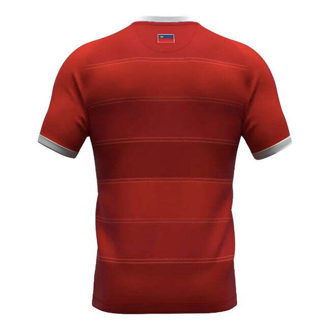 2024-2025 Leichtenstein Away Jersey (Adult)