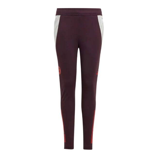 2024-2025 Shirt by Bayern Munich Training Pants (Junior