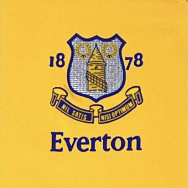Everton 2025-26 Away Jersey Everton #2003 S