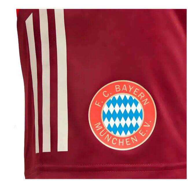 2024-2025 Bayern Training Vintage Shirt (Shadow Red) Lightweight