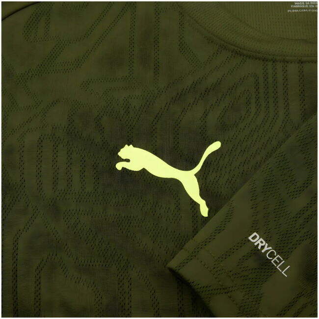 2024-2025 Borussia Dortmund Training Shirt (Myrtle)