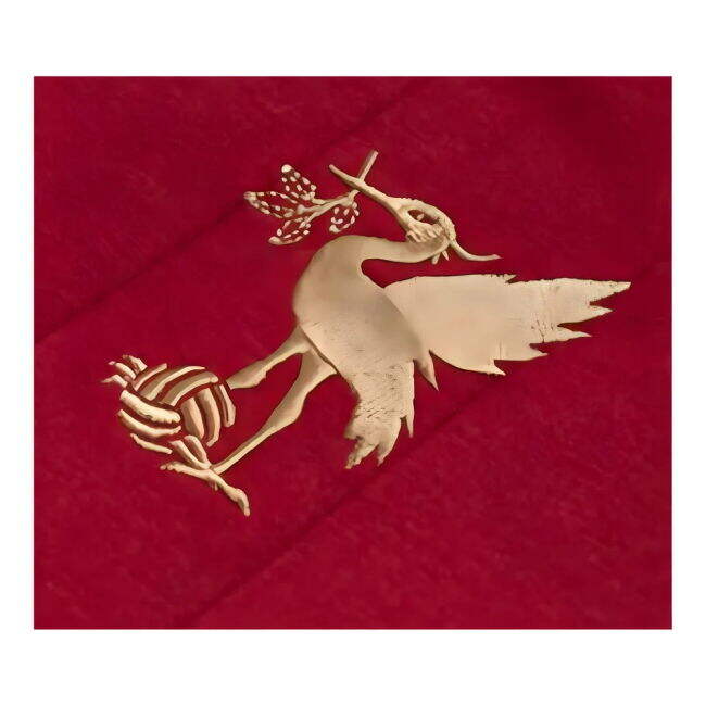 Liverpool Classic Jersey Liverpool #41