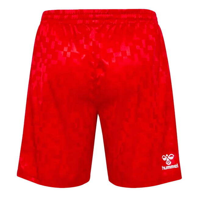 Denmark 2024-2025 Away Shorts - (Unisex