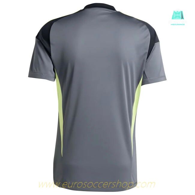 2025-2026 Juventus Home Goalkeeper Shirt (Grey) (Perin 1)